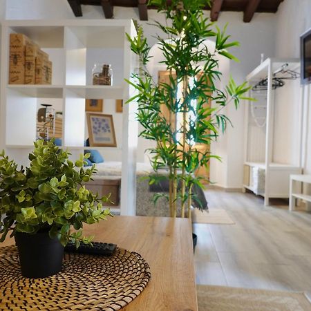 Apartamento Astaregia Jerez de la Frontera Exteriör bild